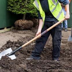 Pointed Shovel Pointed Shovel
