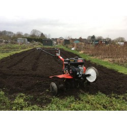 Rotovator 5.5HP Forward / Reverse