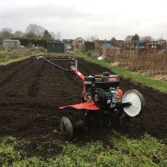 Rotovator 5.5HP Forward / Reverse Rotovator 5.5HP Forward / Reverse