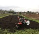 Rotovator 5.5HP Forward / Reverse Rotovator 5.5HP Forward / Reverse