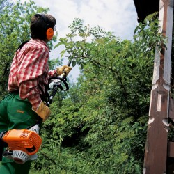 Pole Hedge Trimmer Long