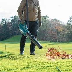 Cordless Air Blower