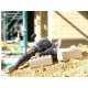 Brick and Masonry Saw