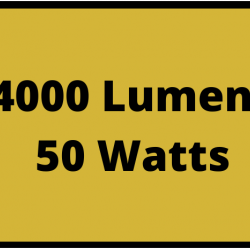 LED Worklight